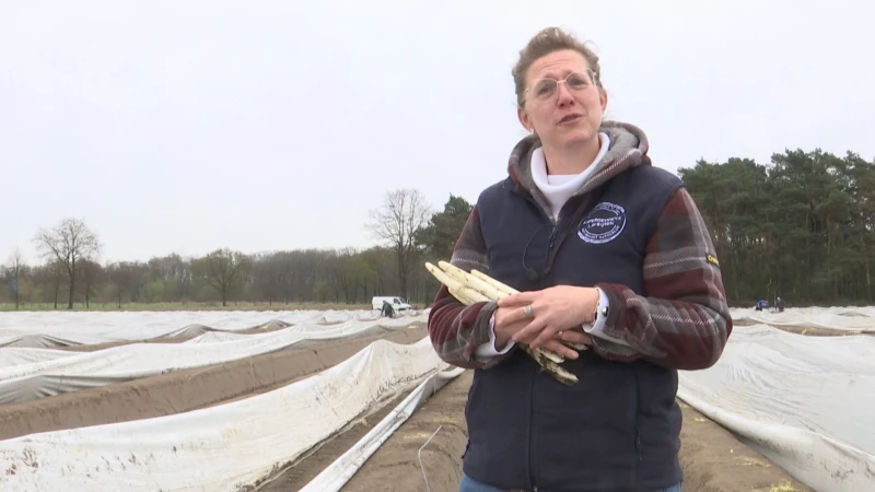 TVL Nieuws, 8 april 2022