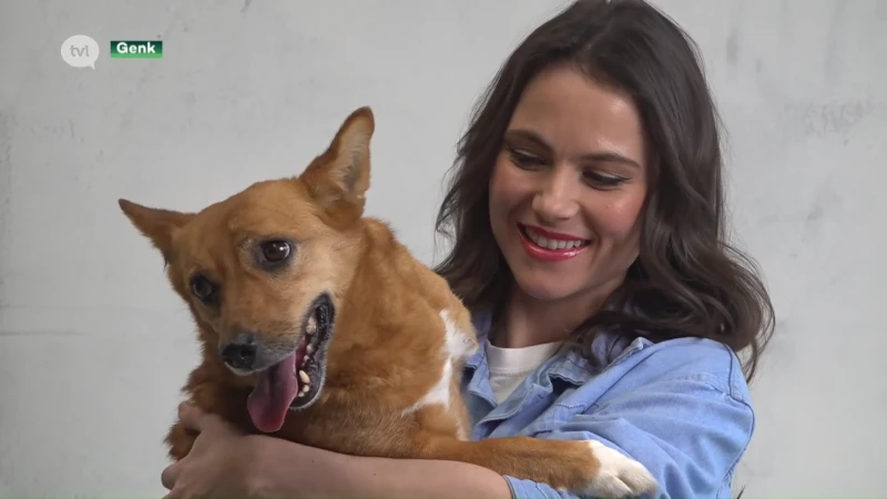 Project A-dopt zet honden uit Genks dierenasiel in de kijker