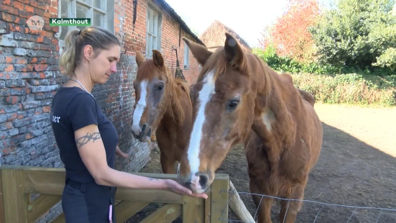 Diepenbeekse vader en dochter emotioneel bij weerzien verwaarloosde paarden