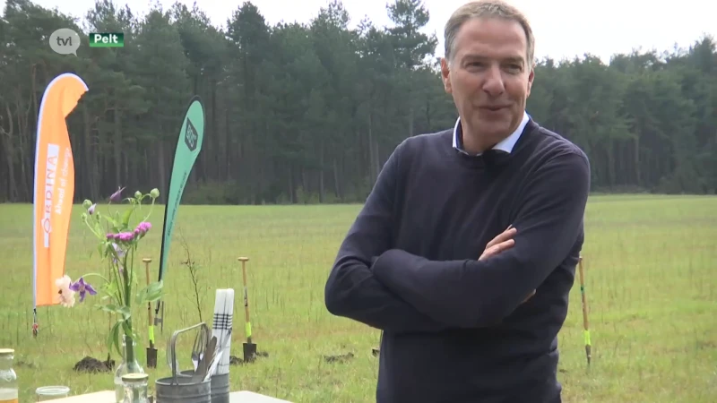Baanbrekend project in Pelt waar bedrijf 25.000 bomen plant
