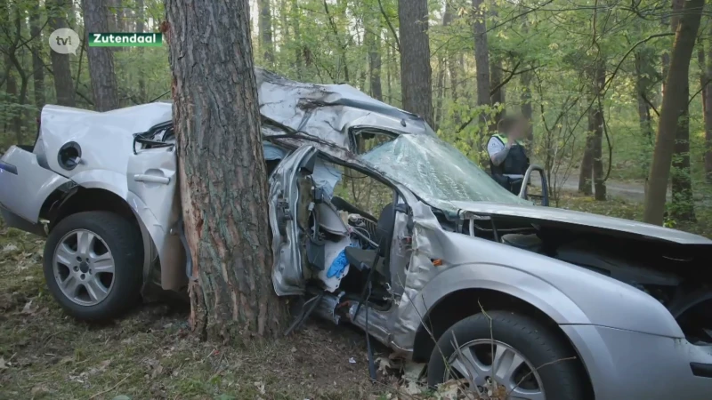 23-jarige man kritiek na klap tegen boom in Zutendaal