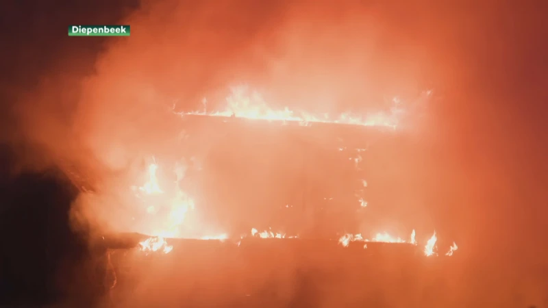 Uitslaande brand legt woning in de as in Diepenbeek