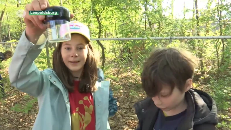 Methodeschool Ondersteboven in Leopoldsburg houdt bioblitz