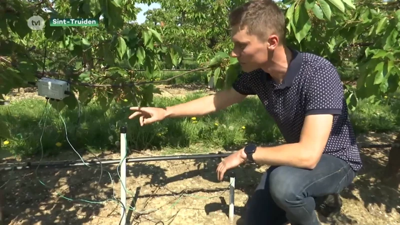 Het is veel te droog. Experts roepen op om zuinig om te springen met watervoorraad