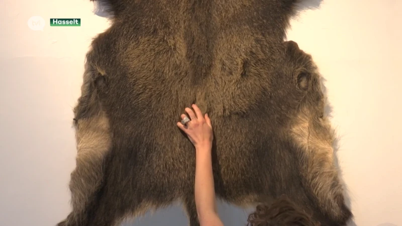 Please do touch: Lore Langendries stelt sieraden van dierenhuiden tentoon in Z33