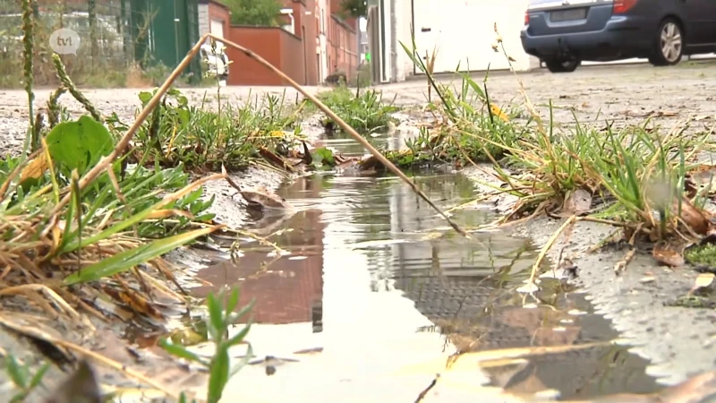 Code oranje in Limburg: storm verwacht