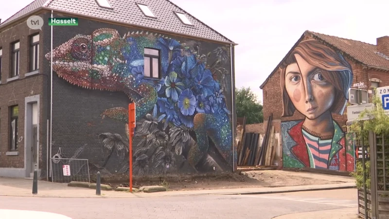 Hasselt hoofdstad van de street art met meer dan 80 muurschilderingen
