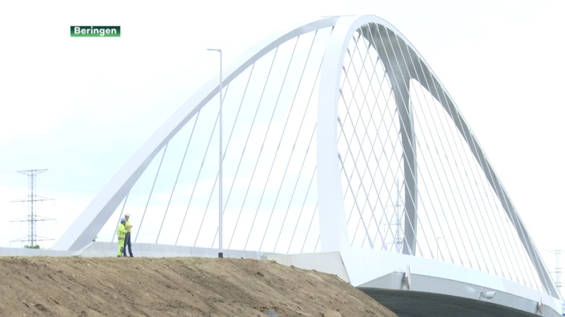 Oeverzwaluw dwarsboomt afwerking brug Tervant