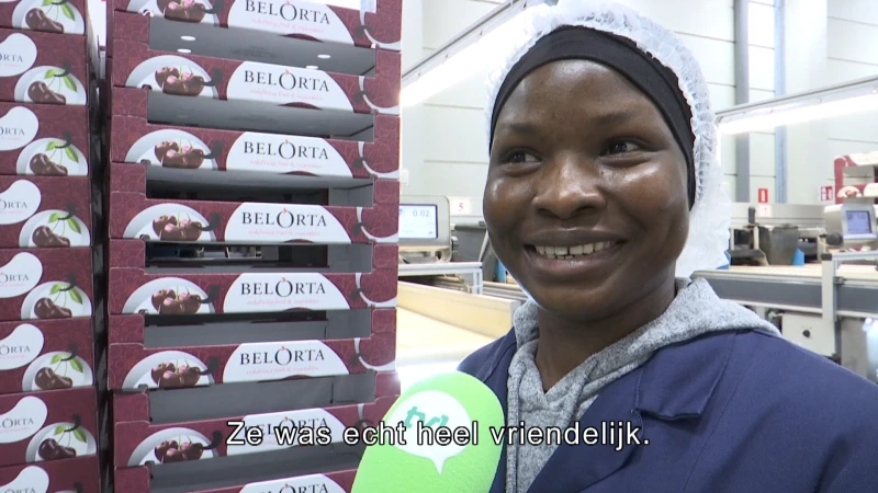 TVL Nieuws, 22 juni 2022