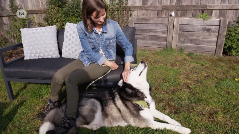Kyto een echte pet-influencer
