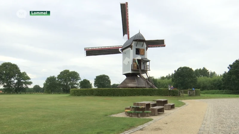 Limburgse mulders eren ambacht op Open Molendag