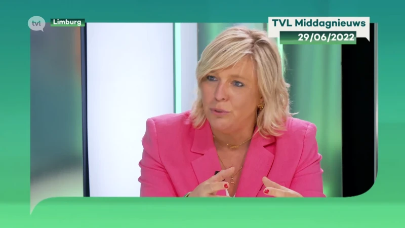 Hilde Vautmans wil Europees verbod van pedohandboeken op het internet