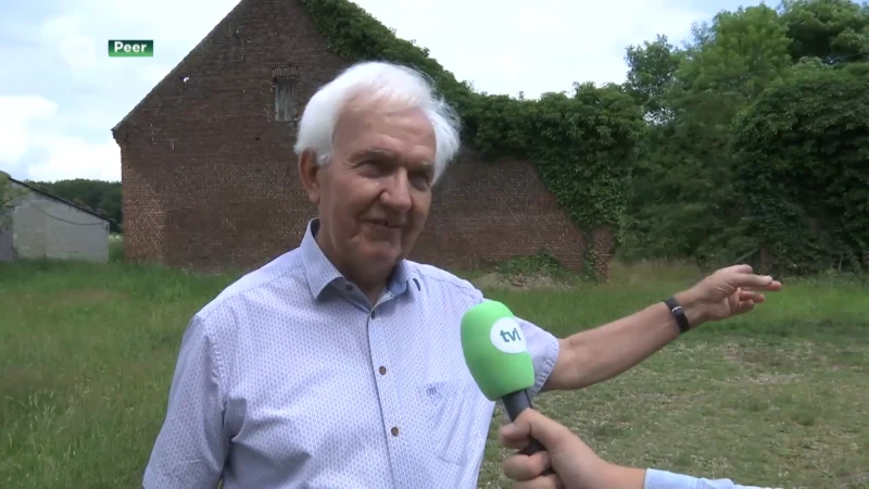 "Pieter Bruegel de Oude is afkomstig van Peer"