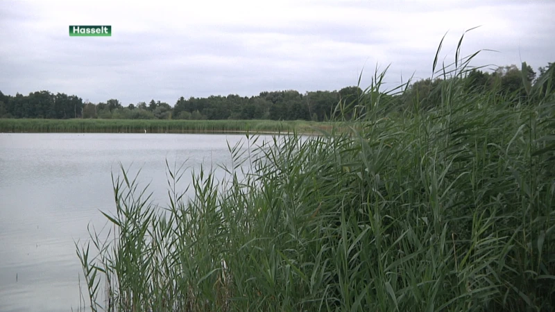 Zomer schakelt versnelling hoger