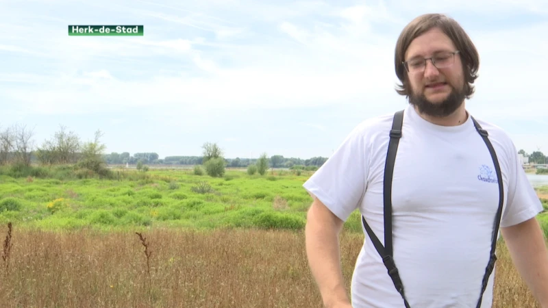 Overstromingen vorig jaar vernietigden heel wat fauna en flora Schulensbroek: "30 jaar werk is verloren gegaan"