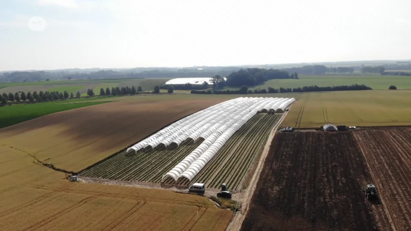 Op Stap zomer 2022 - Borgloon