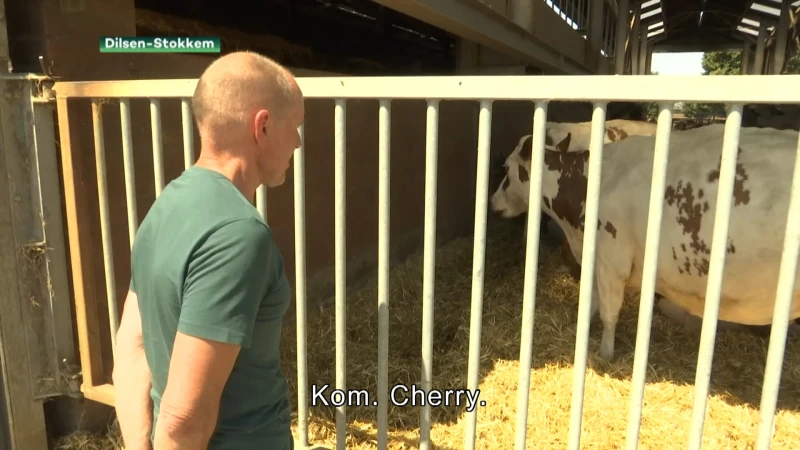 cd&v-voorzitter Mahdi bezoekt jonge Limburgse boeren en deelt bezorgdheid over stikstofakkoord
