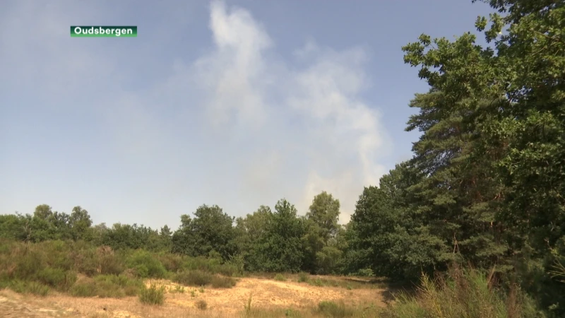 Brand verwoest meer dan 1 hectare bos in Oudsbergen