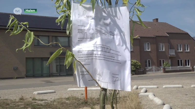 Halenaar riskeert GAS-boete voor illegaal boompjes planten