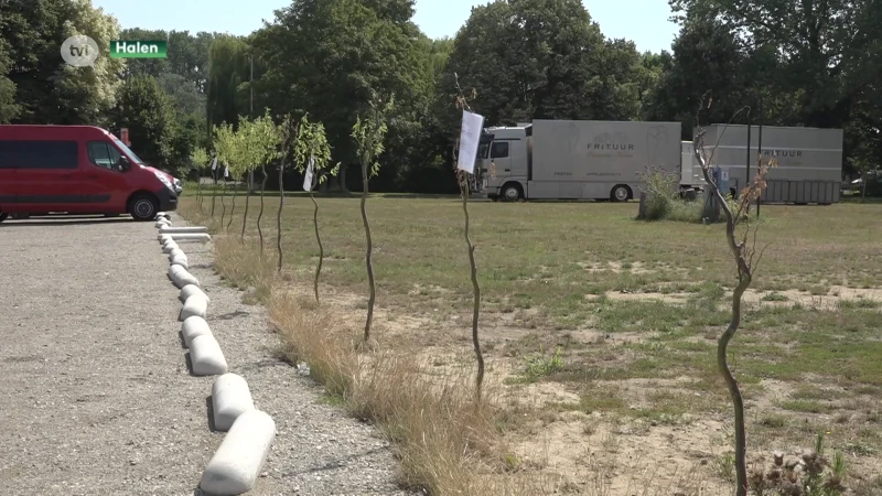 Halenaar haalt dan toch illegaal geplante boompjes weg op gemeenteplein