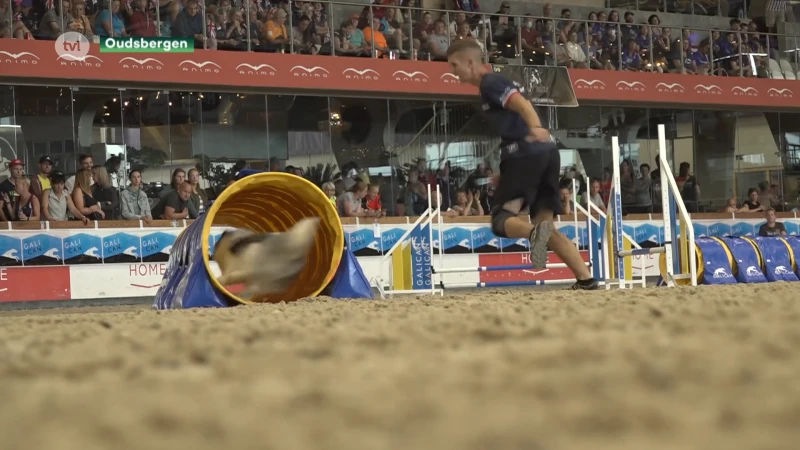 Wereldtop agility strijkt neer in Oudsbergen