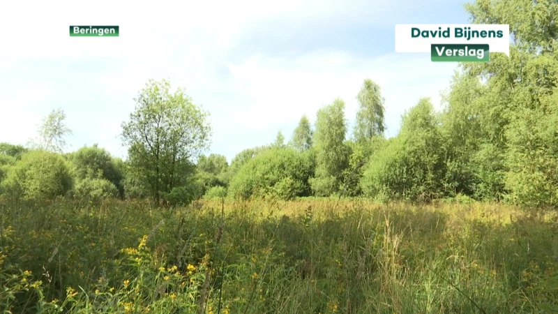 Natuurpunt start met natte landbouw in vallei van Grote Beek