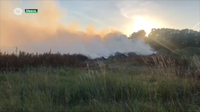 Droogte: veldbrand met grote rookontwikkeling in Klein-Gelmen