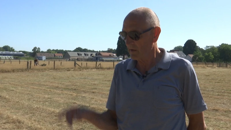 TVL Nieuws, 11 augustus 2022