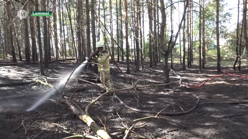 15 keer meer natuurbranden dan vorig jaar in Noord-Limburg: brandweer vraagt voorzichtig te zijn