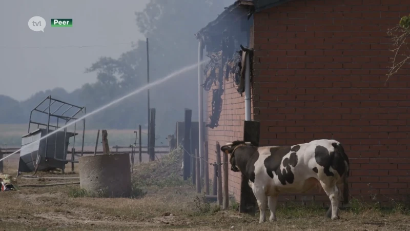 Zware boerderijbrand in Peer