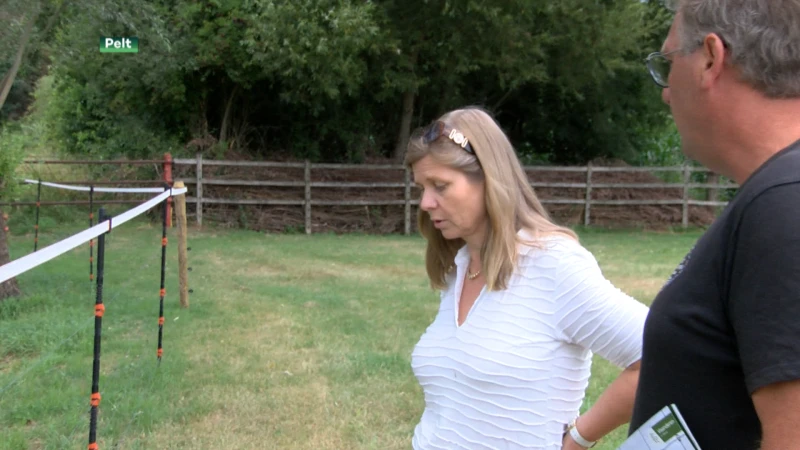 Wachtlijst omdat Wolf Fencing Team overstelpt wordt met vragen om weides wolfproof te maken