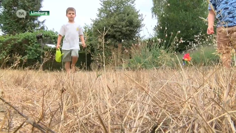 Kans op nieuwe hittegolf in deze abnormaal warme en vooral droge zomer
