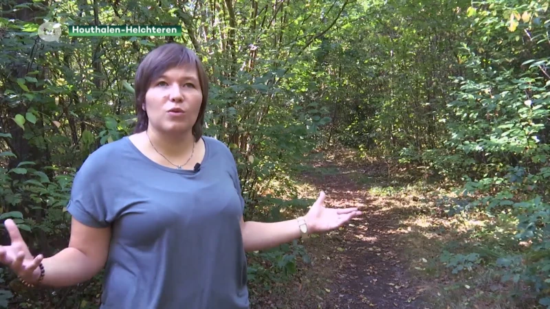 Twijfels over groenoffer in Houthalen-Oost