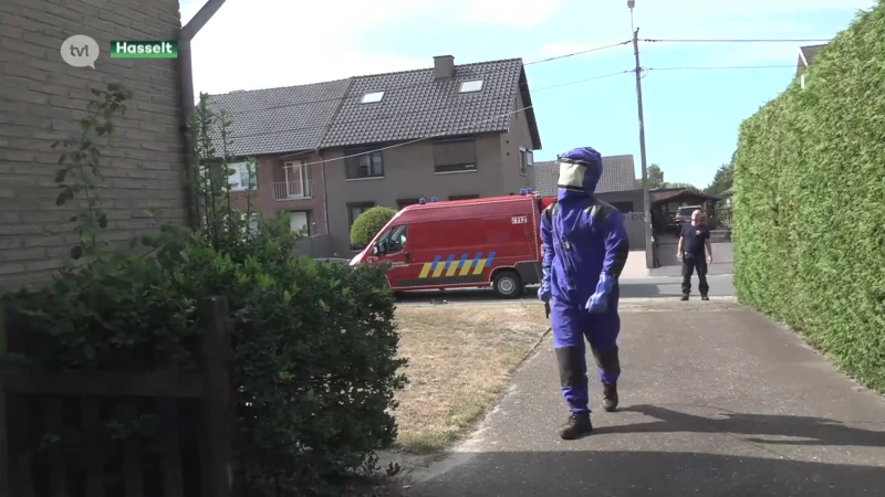 Brandweer verdelgde nu al bijna 14.000 wespennesten