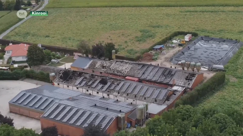 Stalbrand doodt 300 varkens in Ophoven