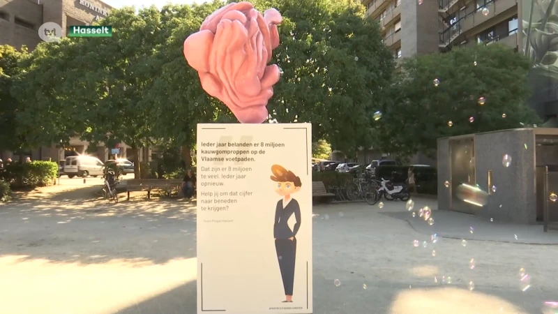Hasselt verklaart oorlog aan kauwgum op de stoep
