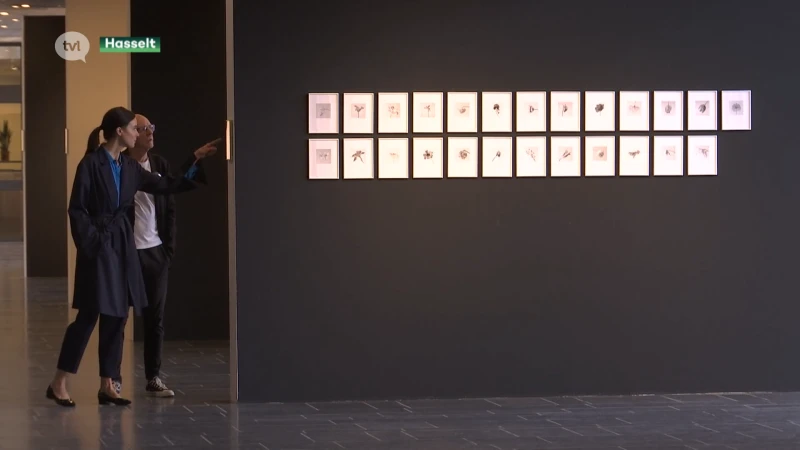 CCHa viert 50 jaar bestaan met expo portretfotograaf Malou Swinnen