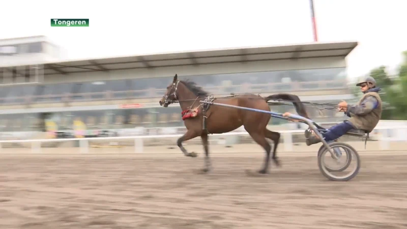 Tongeren zoekt investeringsgroep voor hippodroom