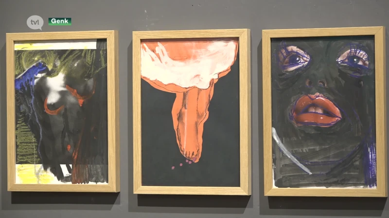 Hilde Vanhees debuteert met expo in Genk