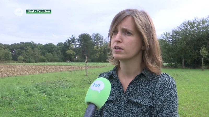 Politicoloog Sofie Hennau: "Open VLD en N-VA moeten beslissen of huidige coalitie in Sint-Truiden leefbaar is"