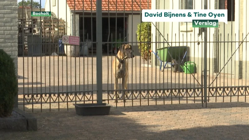 Opnieuw vogelgriep vastgesteld bij vogelhandelaar in Bocholt