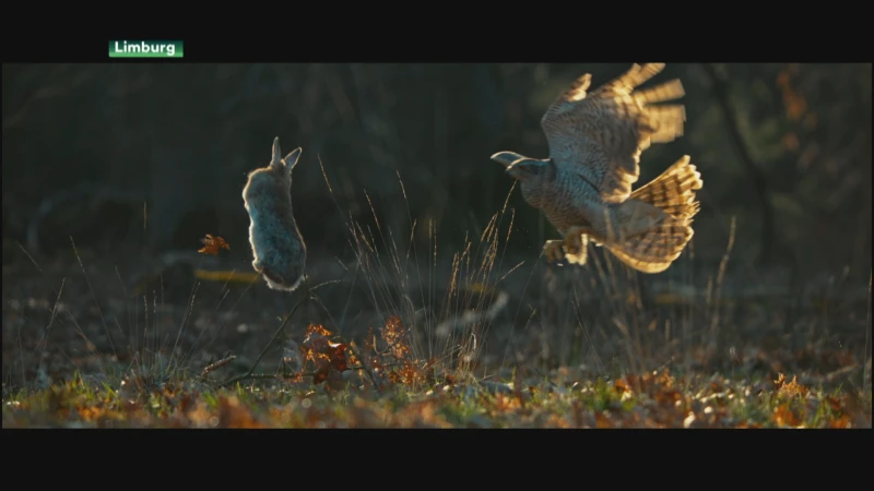 Frederik Thoelen: "Hopelijk zorgt docufilm 'Onze Natuur' ervoor dat mensen natuur nog meer gaan respecteren"