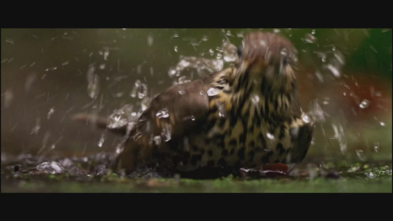 Bioloog Frederik Thoelen hoopt dat natuurfilm 'Onze Natuur' respect voor Limburgse natuur laat toenemen