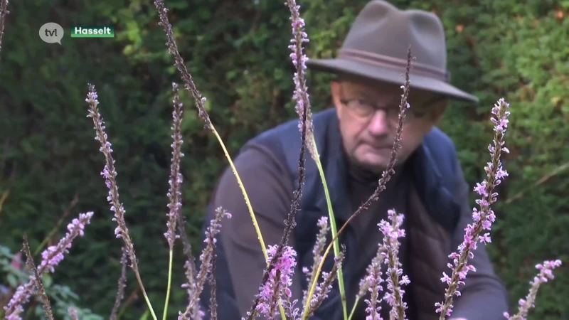 Het regent nog lang niet genoeg: dit moet u doen in uw tuin