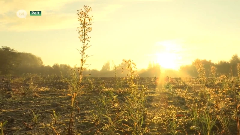 Campus Noord wordt de Corda Campus van Noord-Limburg