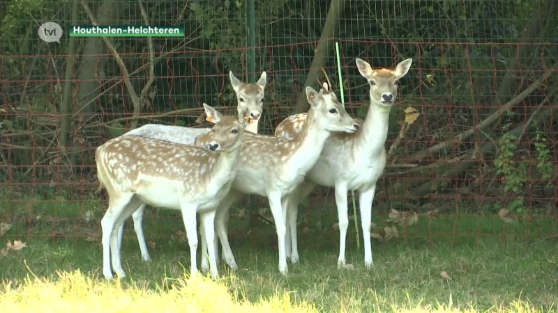 Man die herten verloor na wolvenaanval gaat nu Wolf Fencing Team helpen