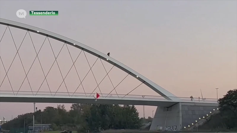 Spectaculaire beelden: Steppers halen halsbrekende toeren uit op boogbrug in Tessenderlo