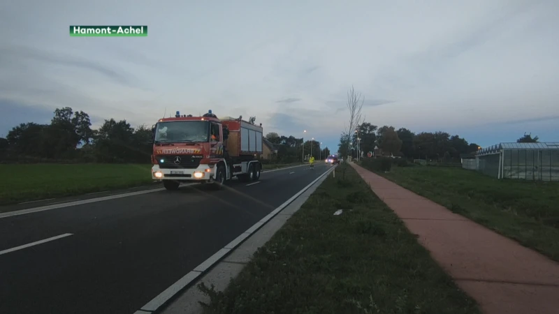 Voetganger komt om het leven in Pelt