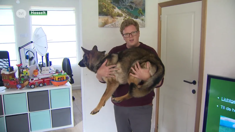 Verplicht naar cursus om honden op te vangen