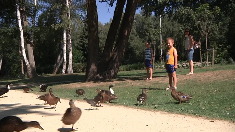 Zomer op de drempel van november: vijf dagen recordtemperaturen tot 25 graden